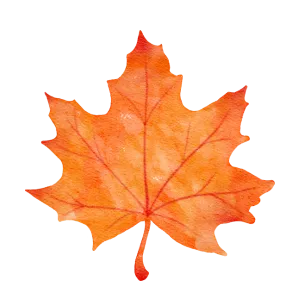 Autumn leaf symbolizing seasonal transitions, relevant to heat pump efficiency in Cheverly's fall weather.